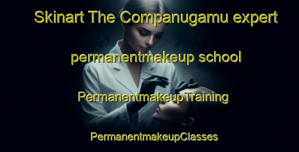 Skinart The Companugamu expert permanentmakeup school | PermanentmakeupTraining | PermanentmakeupClasses | SkinartTraining-Brazil