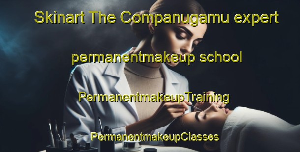 Skinart The Companugamu expert permanentmakeup school | PermanentmakeupTraining | PermanentmakeupClasses | SkinartTraining-Brazil