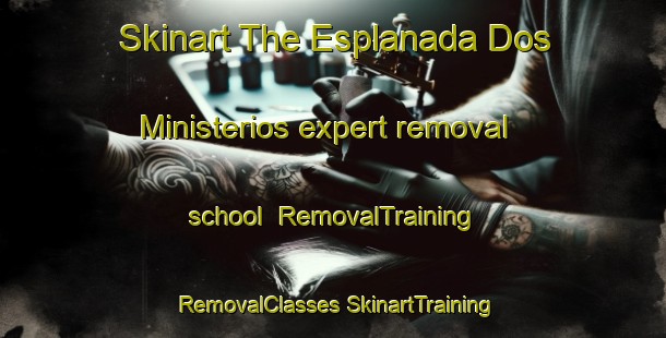 Skinart The Esplanada Dos Ministerios expert removal school | #RemovalTraining #RemovalClasses #SkinartTraining-Brazil