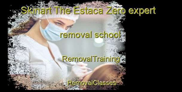 Skinart The Estaca Zero expert removal school | RemovalTraining | RemovalClasses | SkinartTraining-Brazil