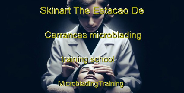 Skinart The Estacao De Carrancas microblading training school | #MicrobladingTraining #MicrobladingClasses #SkinartTraining-Brazil