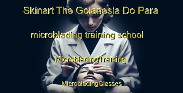 Skinart The Goianesia Do Para microblading training school | #MicrobladingTraining #MicrobladingClasses #SkinartTraining-Brazil