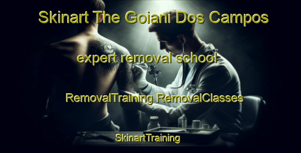 Skinart The Goiani Dos Campos expert removal school | #RemovalTraining #RemovalClasses #SkinartTraining-Brazil