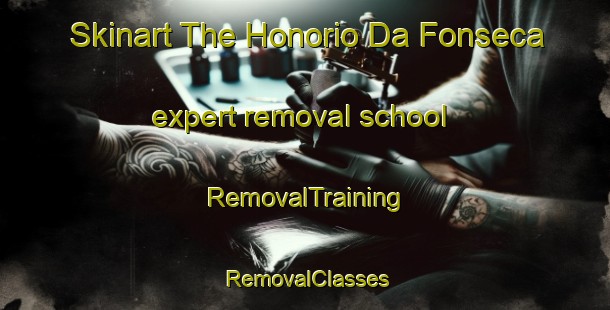 Skinart The Honorio Da Fonseca expert removal school | RemovalTraining | RemovalClasses | SkinartTraining-Brazil