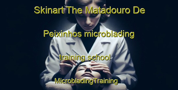 Skinart The Matadouro De Peixinhos microblading training school | MicrobladingTraining | MicrobladingClasses | SkinartTraining-Brazil