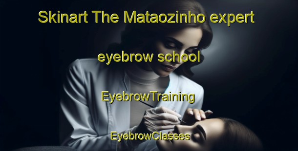 Skinart The Mataozinho expert eyebrow school | EyebrowTraining | EyebrowClasses | SkinartTraining-Brazil