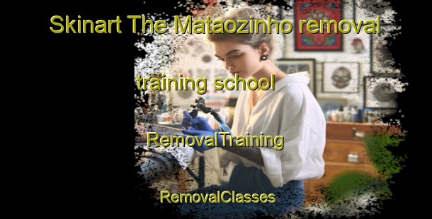 Skinart The Mataozinho removal training school | RemovalTraining | RemovalClasses | SkinartTraining-Brazil