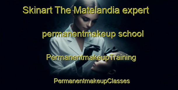 Skinart The Matelandia expert permanentmakeup school | PermanentmakeupTraining | PermanentmakeupClasses | SkinartTraining-Brazil