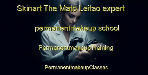 Skinart The Mato Leitao expert permanentmakeup school | PermanentmakeupTraining | PermanentmakeupClasses | SkinartTraining-Brazil