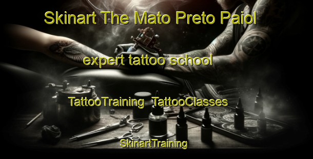 Skinart The Mato Preto Paiol expert tattoo school | TattooTraining | TattooClasses | SkinartTraining-Brazil