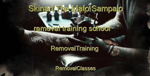 Skinart The Mato Sampaio removal training school | RemovalTraining | RemovalClasses | SkinartTraining-Brazil