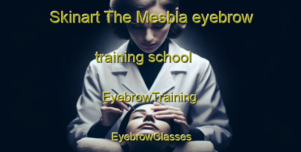 Skinart The Mesbla eyebrow training school | EyebrowTraining | EyebrowClasses | SkinartTraining-Brazil