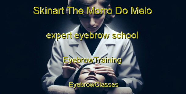 Skinart The Morro Do Meio expert eyebrow school | EyebrowTraining | EyebrowClasses | SkinartTraining-Brazil