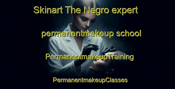 Skinart The Negro expert permanentmakeup school | PermanentmakeupTraining | PermanentmakeupClasses | SkinartTraining-Brazil