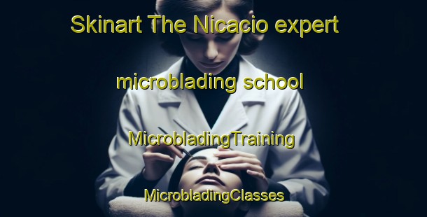 Skinart The Nicacio expert microblading school | #MicrobladingTraining #MicrobladingClasses #SkinartTraining-Brazil