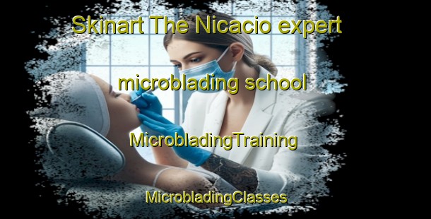 Skinart The Nicacio expert microblading school | #MicrobladingTraining #MicrobladingClasses #SkinartTraining-Brazil