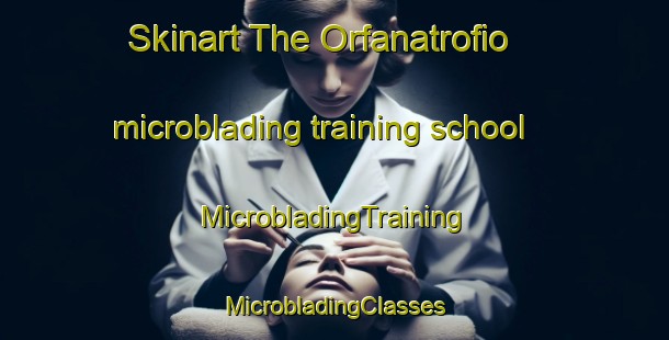 Skinart The Orfanatrofio microblading training school | #MicrobladingTraining #MicrobladingClasses #SkinartTraining-Brazil