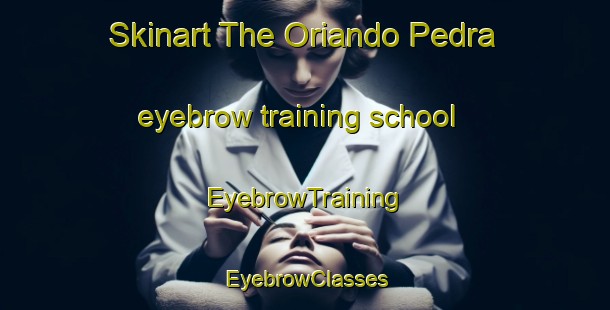 Skinart The Oriando Pedra eyebrow training school | EyebrowTraining | EyebrowClasses | SkinartTraining-Brazil