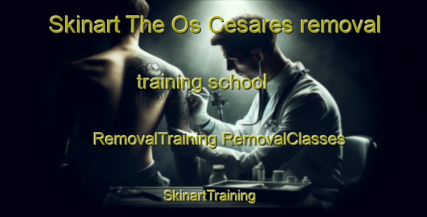 Skinart The Os Cesares removal training school | #RemovalTraining #RemovalClasses #SkinartTraining-Brazil