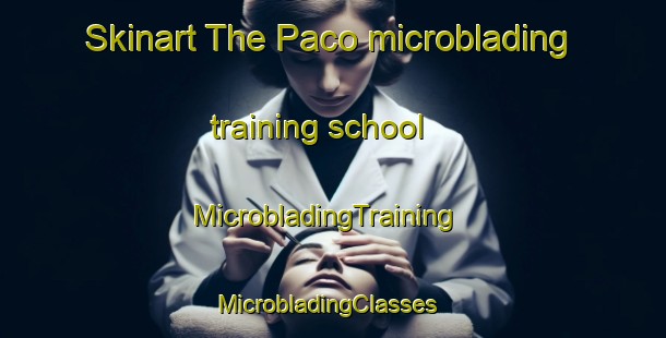 Skinart The Paco microblading training school | MicrobladingTraining | MicrobladingClasses | SkinartTraining-Brazil