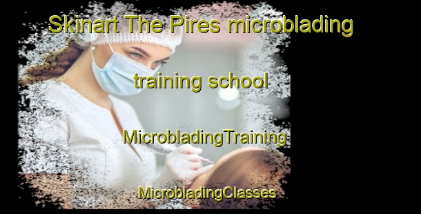 Skinart The Pires microblading training school | MicrobladingTraining | MicrobladingClasses | SkinartTraining-Brazil