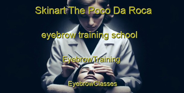 Skinart The Poco Da Roca eyebrow training school | EyebrowTraining | EyebrowClasses | SkinartTraining-Brazil