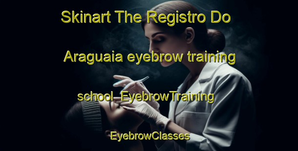 Skinart The Registro Do Araguaia eyebrow training school | EyebrowTraining | EyebrowClasses | SkinartTraining-Brazil
