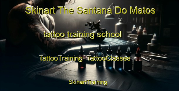 Skinart The Santana Do Matos tattoo training school | TattooTraining | TattooClasses | SkinartTraining-Brazil