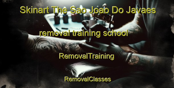 Skinart The Sao Joao Do Javaes removal training school | RemovalTraining | RemovalClasses | SkinartTraining-Brazil
