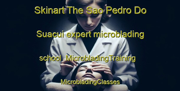 Skinart The Sao Pedro Do Suacui expert microblading school | #MicrobladingTraining #MicrobladingClasses #SkinartTraining-Brazil