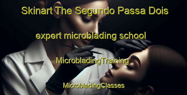 Skinart The Segundo Passa Dois expert microblading school | #MicrobladingTraining #MicrobladingClasses #SkinartTraining-Brazil