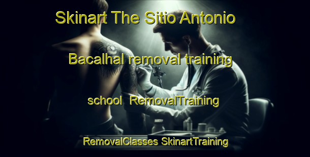 Skinart The Sitio Antonio Bacalhal removal training school | #RemovalTraining #RemovalClasses #SkinartTraining-Brazil