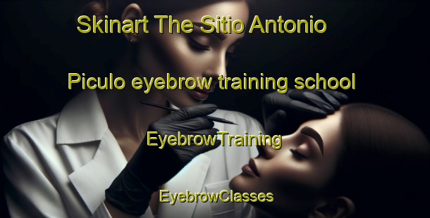 Skinart The Sitio Antonio Piculo eyebrow training school | EyebrowTraining | EyebrowClasses | SkinartTraining-Brazil