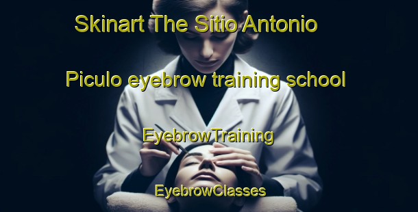 Skinart The Sitio Antonio Piculo eyebrow training school | EyebrowTraining | EyebrowClasses | SkinartTraining-Brazil