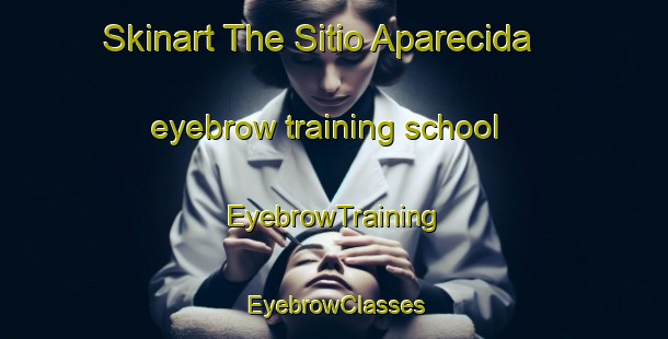 Skinart The Sitio Aparecida eyebrow training school | EyebrowTraining | EyebrowClasses | SkinartTraining-Brazil