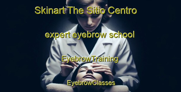 Skinart The Sitio Centro expert eyebrow school | EyebrowTraining | EyebrowClasses | SkinartTraining-Brazil