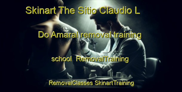 Skinart The Sitio Claudio L  Do Amaral removal training school | #RemovalTraining #RemovalClasses #SkinartTraining-Brazil