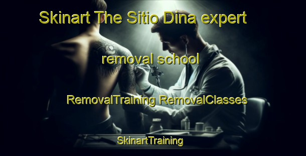 Skinart The Sitio Dina expert removal school | #RemovalTraining #RemovalClasses #SkinartTraining-Brazil