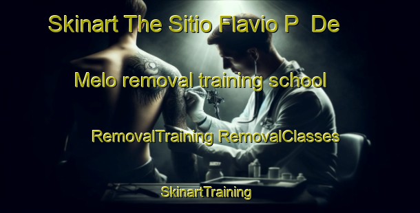 Skinart The Sitio Flavio P  De Melo removal training school | #RemovalTraining #RemovalClasses #SkinartTraining-Brazil