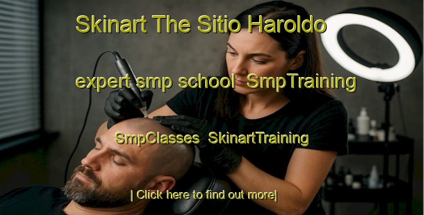 Skinart The Sitio Haroldo expert smp school | SmpTraining | SmpClasses | SkinartTraining-Brazil