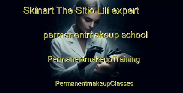 Skinart The Sitio Lili expert permanentmakeup school | PermanentmakeupTraining | PermanentmakeupClasses | SkinartTraining-Brazil