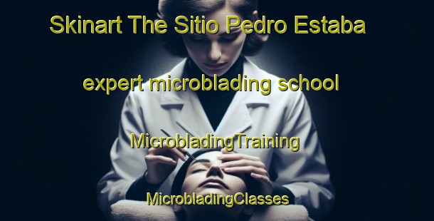 Skinart The Sitio Pedro Estaba expert microblading school | #MicrobladingTraining #MicrobladingClasses #SkinartTraining-Brazil