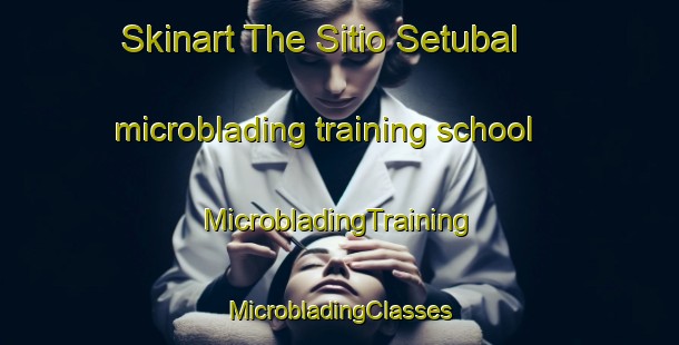 Skinart The Sitio Setubal microblading training school | #MicrobladingTraining #MicrobladingClasses #SkinartTraining-Brazil