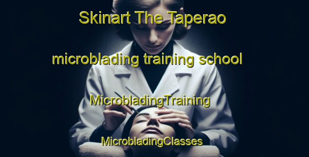 Skinart The Taperao microblading training school | MicrobladingTraining | MicrobladingClasses | SkinartTraining-Brazil