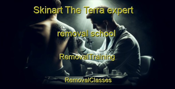 Skinart The Terra expert removal school | RemovalTraining | RemovalClasses | SkinartTraining-Brazil