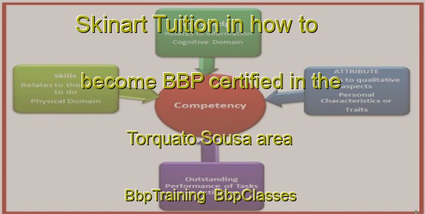 Skinart Tuition in how to become BBP certified in the Torquato Sousa area | BbpTraining | BbpClasses | SkinartTraining-Brazil