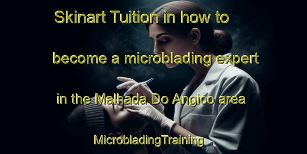 Skinart Tuition in how to become a microblading expert in the Malhada Do Angico area | MicrobladingTraining | MicrobladingClasses | SkinartTraining-Brazil