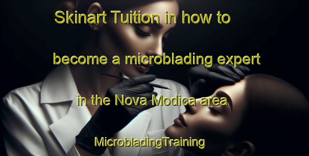 Skinart Tuition in how to become a microblading expert in the Nova Modica area | MicrobladingTraining | MicrobladingClasses | SkinartTraining-Brazil