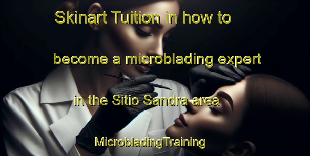 Skinart Tuition in how to become a microblading expert in the Sitio Sandra area | MicrobladingTraining | MicrobladingClasses | SkinartTraining-Brazil