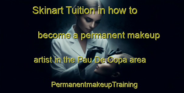 Skinart Tuition in how to become a permanent makeup artist in the Pau De Copa area | PermanentmakeupTraining | PermanentmakeupClasses | SkinartTraining-Brazil